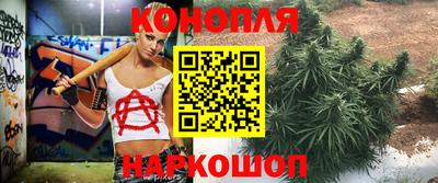 гашик Хасавюрт