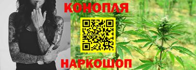 гидра Краснокаменск